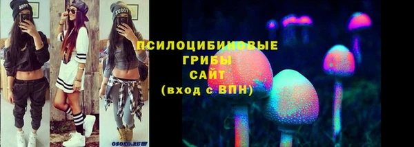 гидра Балахна