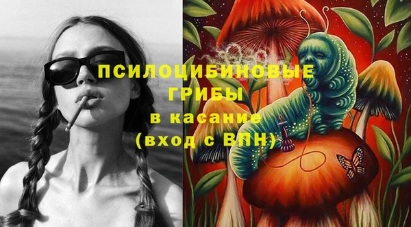 гидра Балахна