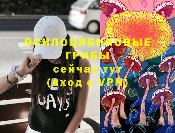 гидра Балахна